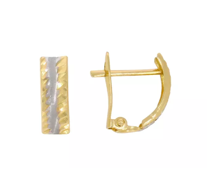 Zlaté náušnice 1009