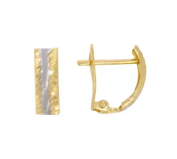 Zlaté náušnice 1009