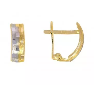 Zlaté náušnice 2552