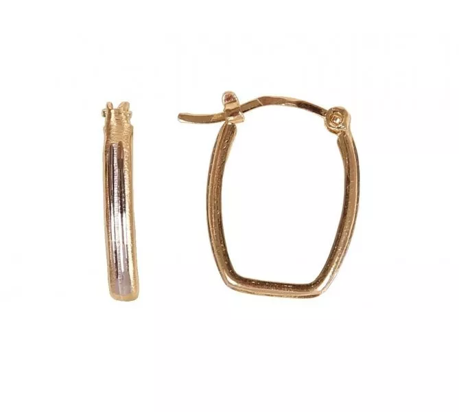 Zlaté náušnice 1351