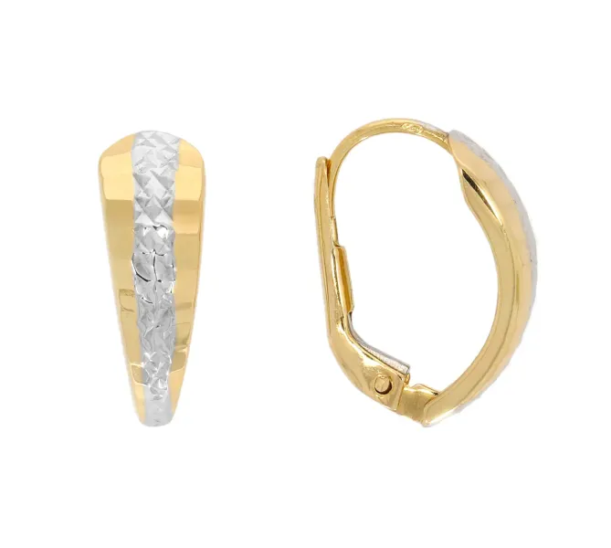 Zlaté náušnice 4300