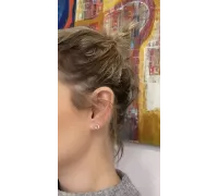 Zlaté náušnice 1411