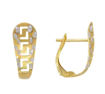 Zlaté náušnice 1008