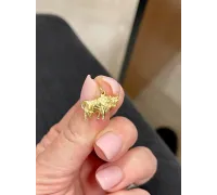 Zlatý prívesok 1548