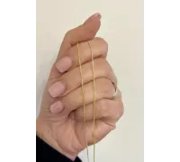 Zlatá retiazka 1460