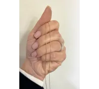 Zlatá retiazka 1465