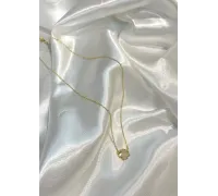 Zlatá retiazka 1317