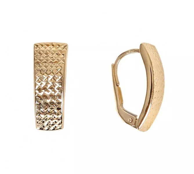 Zlaté náušnice 2038