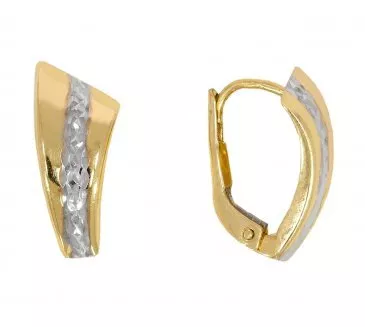 Zlaté náušnice 2080