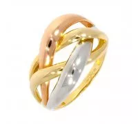 Zlatý prsteň 2261