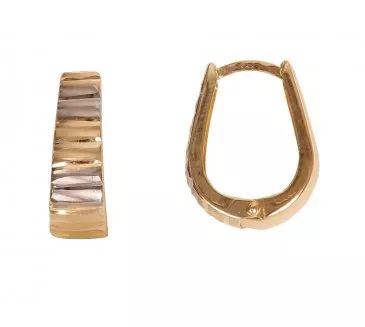 Zlaté náušnice 1324