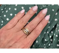 Zlatý prsteň 495