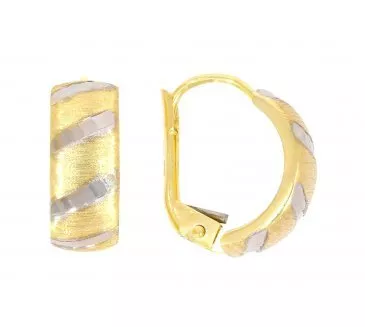 Zlaté náušnice 2884