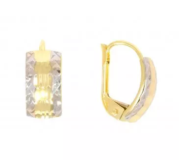 Zlaté náušnice 2900