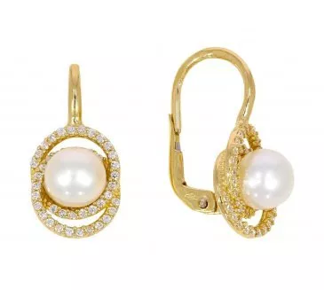 Zlaté náušnice 2176
