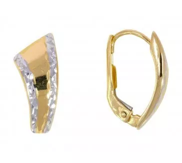 Zlaté náušnice 2590