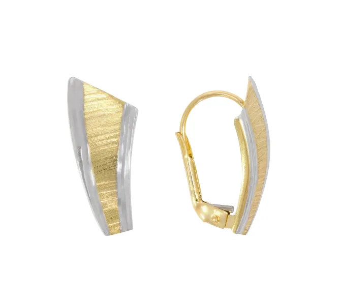 Zlaté náušnice 4101