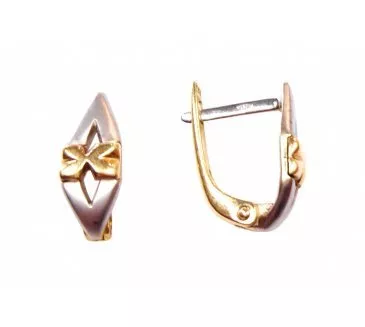 Zlaté náušnice 892