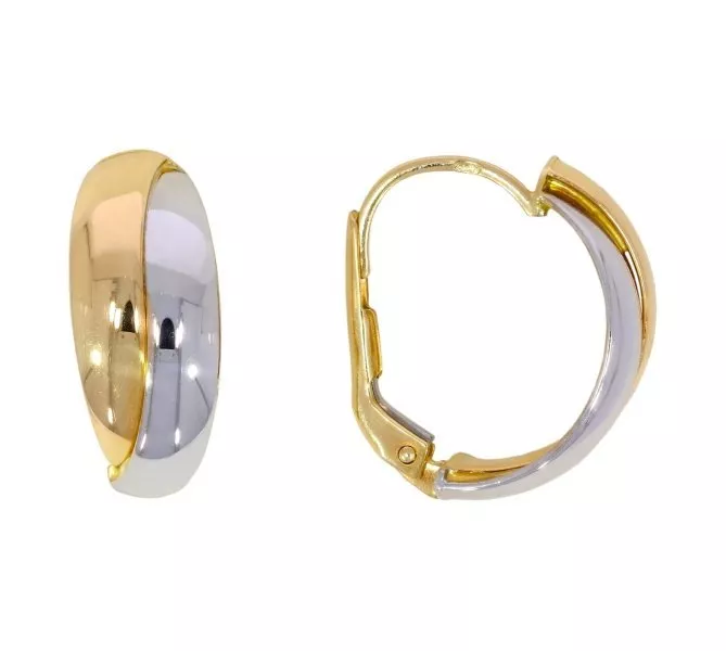 Zlaté náušnice 2542