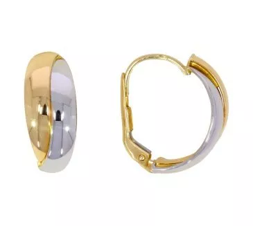 Zlaté náušnice 2542