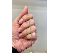 Zlatá retiazka 1355