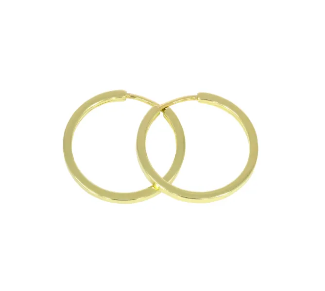 Zlaté náušnice 2300