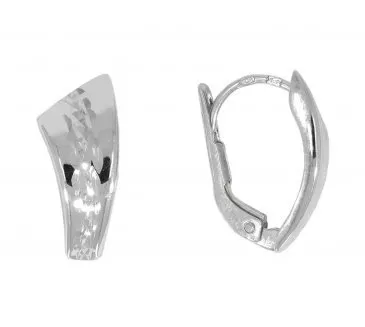 Náušnice z bieleho zlata 2106