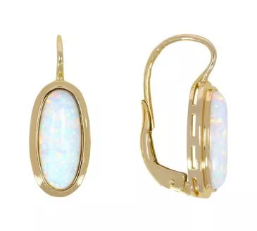 Zlaté náušnice 2742