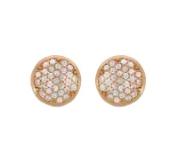 Zlaté náušnice 4182