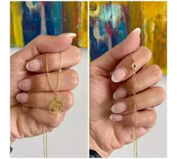 Zlatá retiazka 1117