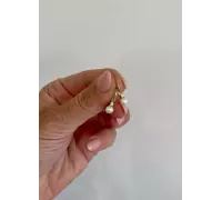 Zlaté náušnice 3886