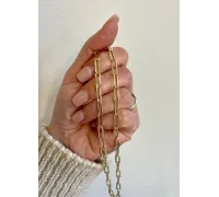 Zlatá retiazka 1433