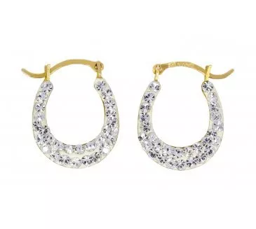 Zlaté náušnice 2554