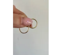 Zlaté náušnice 2005