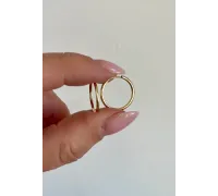 Zlaté náušnice 2005